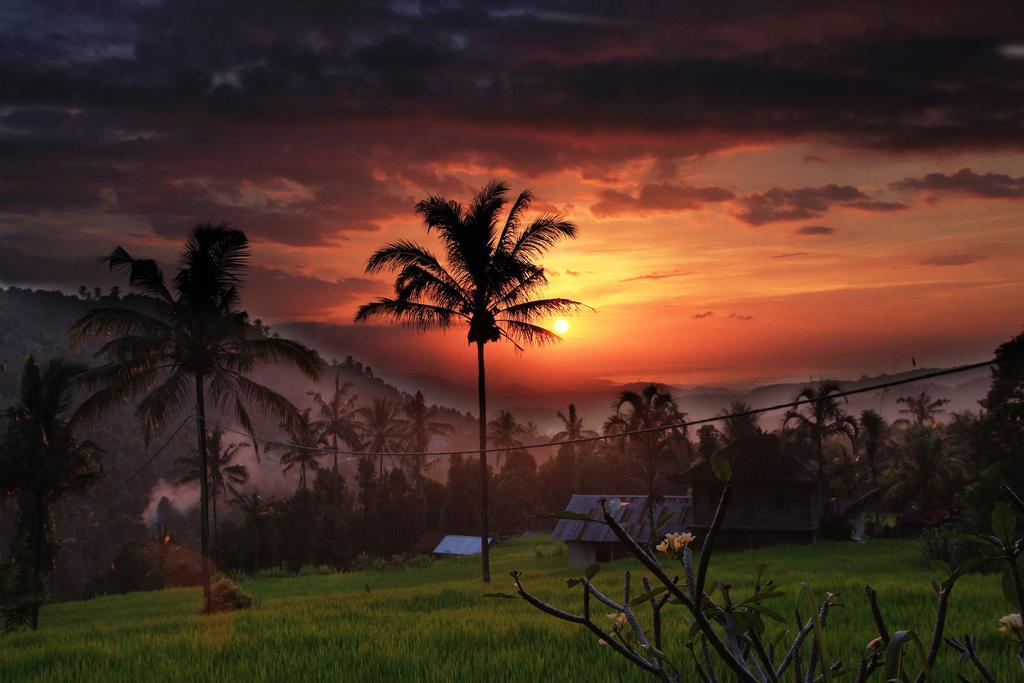Gangga Homestay Munduk  Luaran gambar